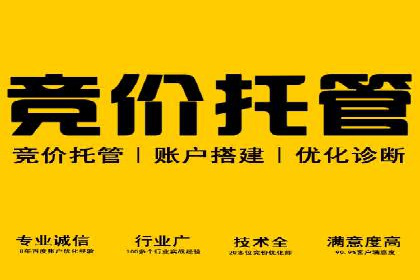 案例分析：竞价推广实战中的困境与突破